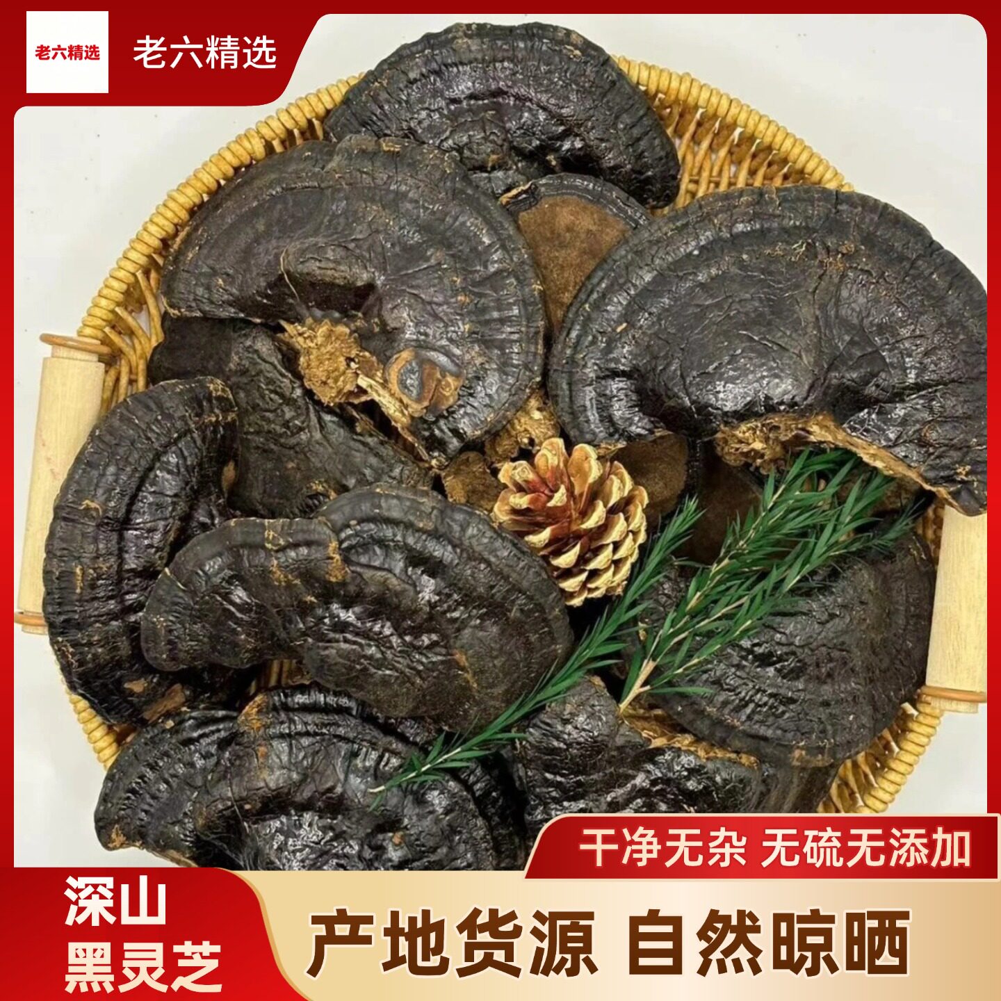 深山整枝黑灵芝不苦肉厚无熏