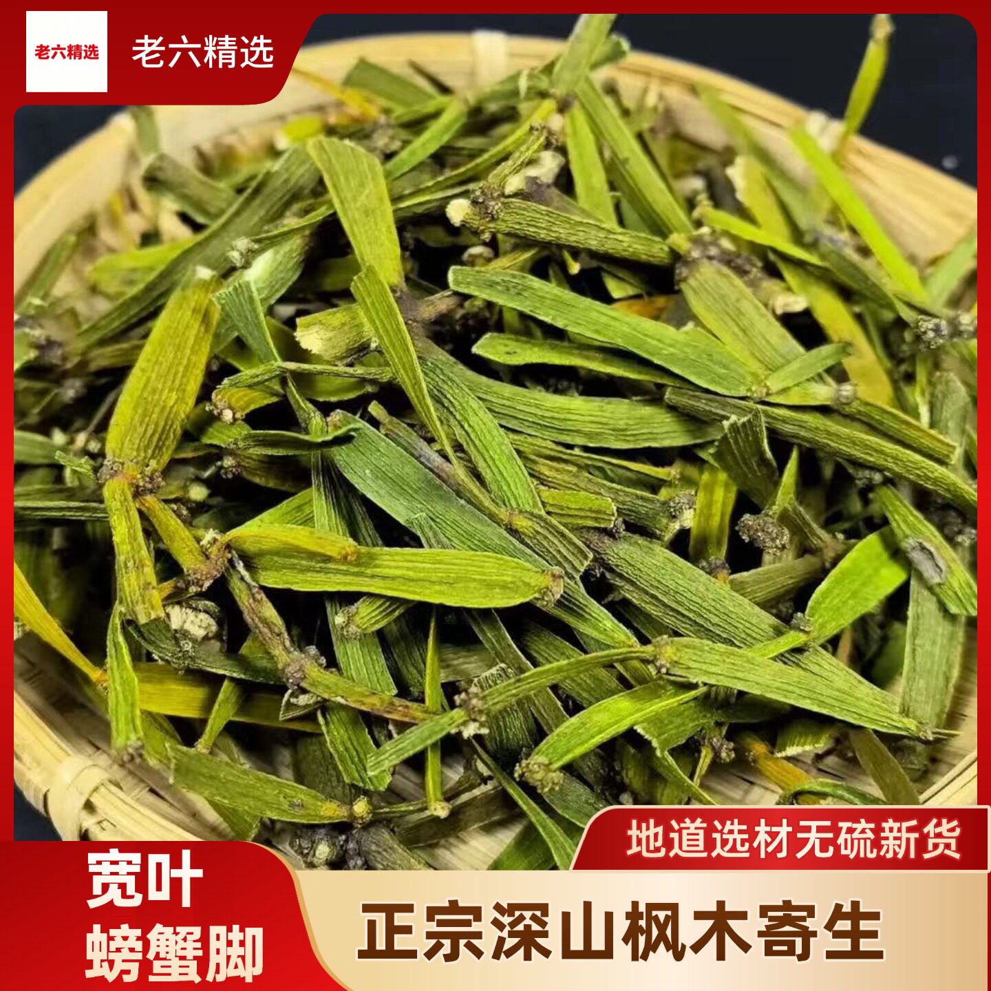 云南野生无硫螃蟹脚古茶树寄生