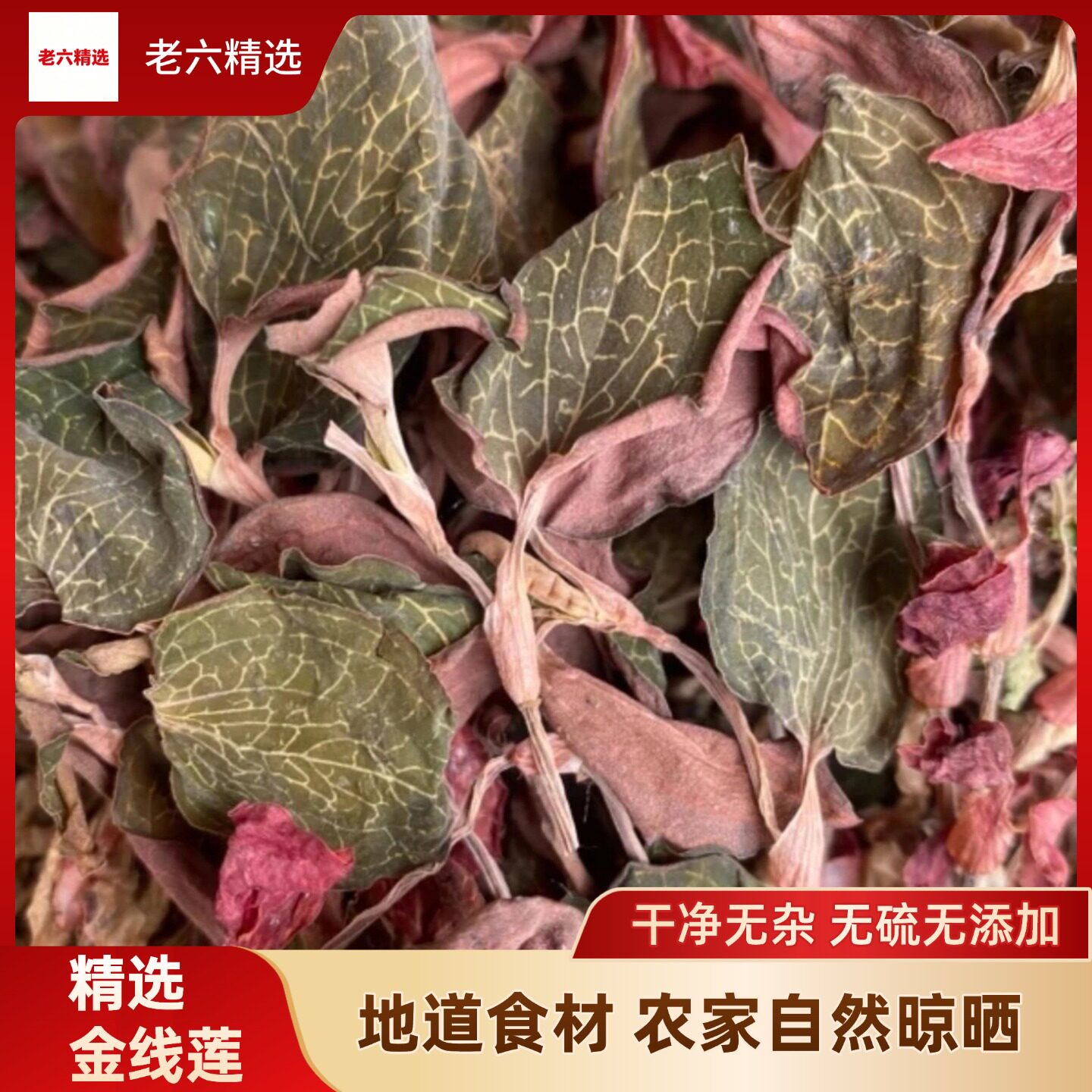 正宗金线莲整株干品福建南靖