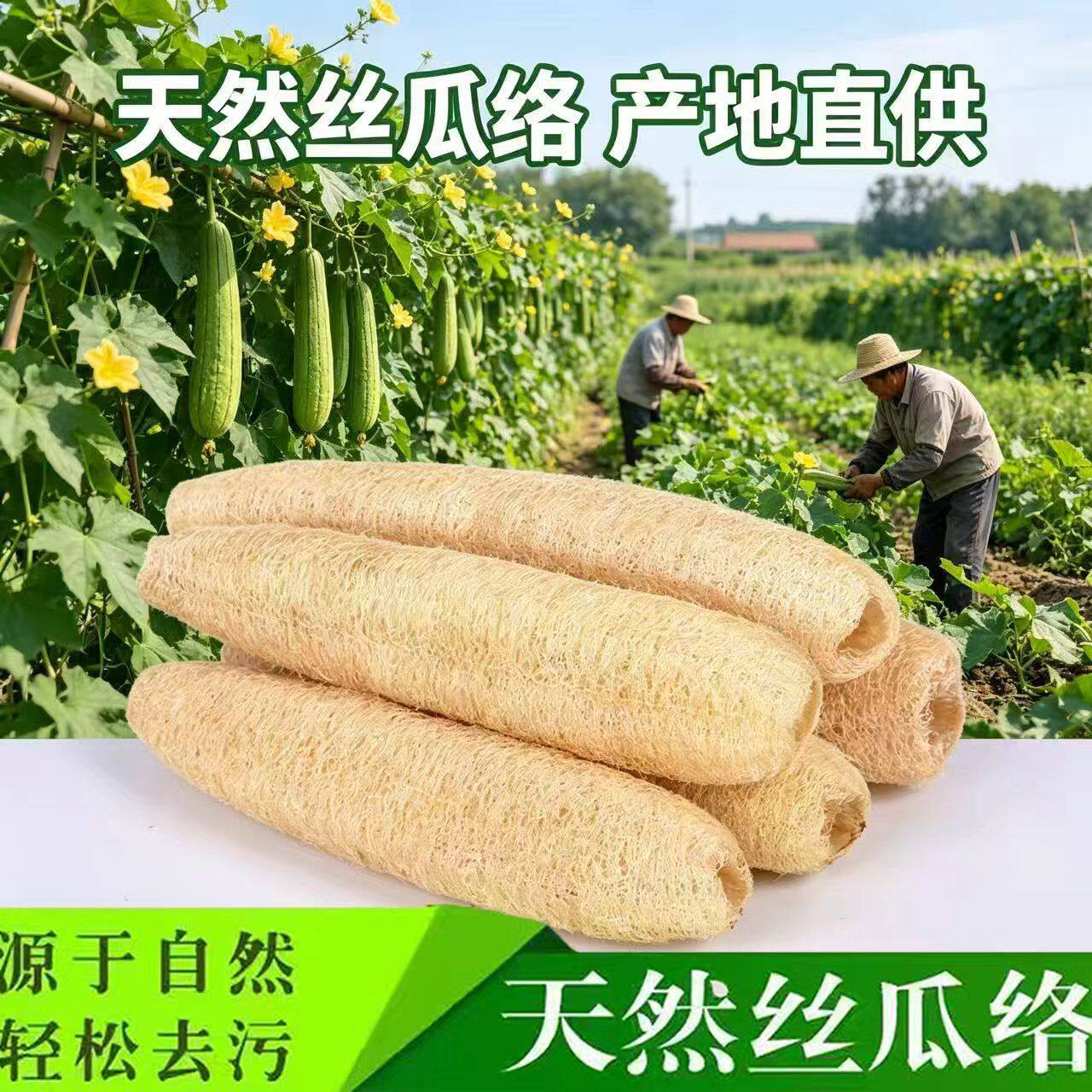 天然丝瓜络不沾油百洁布