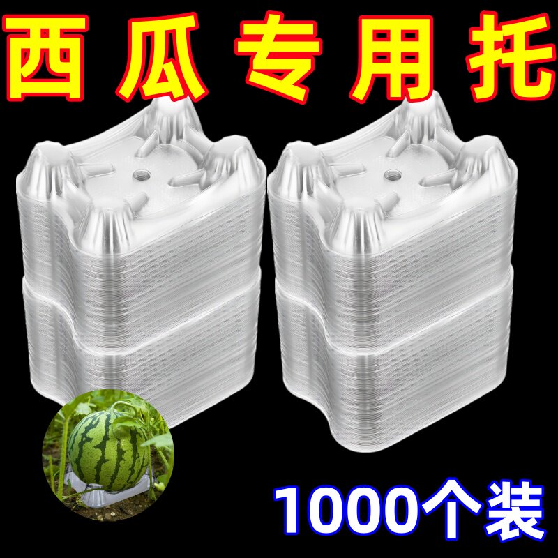 瓜果育苗塑料托盘防腐烂稳固