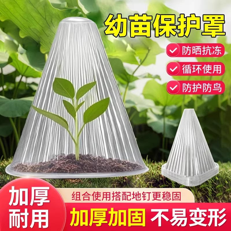加厚育苗保护罩防霜冻防虫大棚