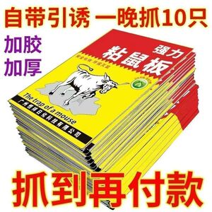 超强力粘鼠板家用捕鼠神器