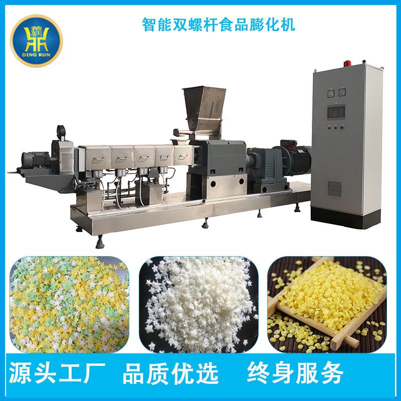 鼎润双螺杆产膨化机备全自动油炸雪花片包糠设面面包屑POY生线