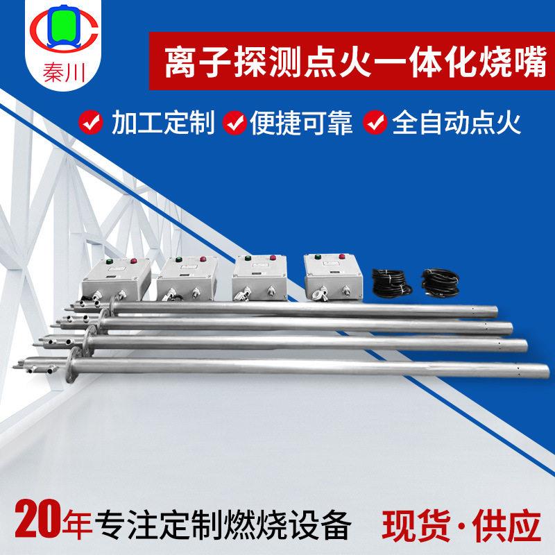 离子探测点火器一体化烧嘴加热炉长明灯点火锅炉天然气点火枪