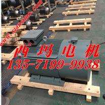 YVFE2-15L1-4/12KW/恒扭矩三相异步变频调速电机