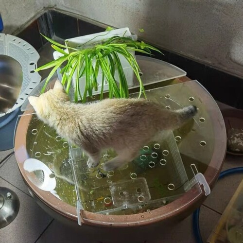 高透明亚克力圆形鱼缸盖板