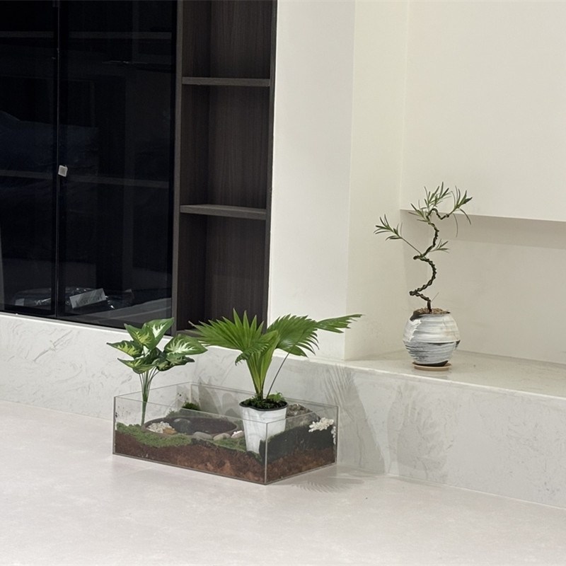 亚克力收纳盒五面盒苔藓展示盒