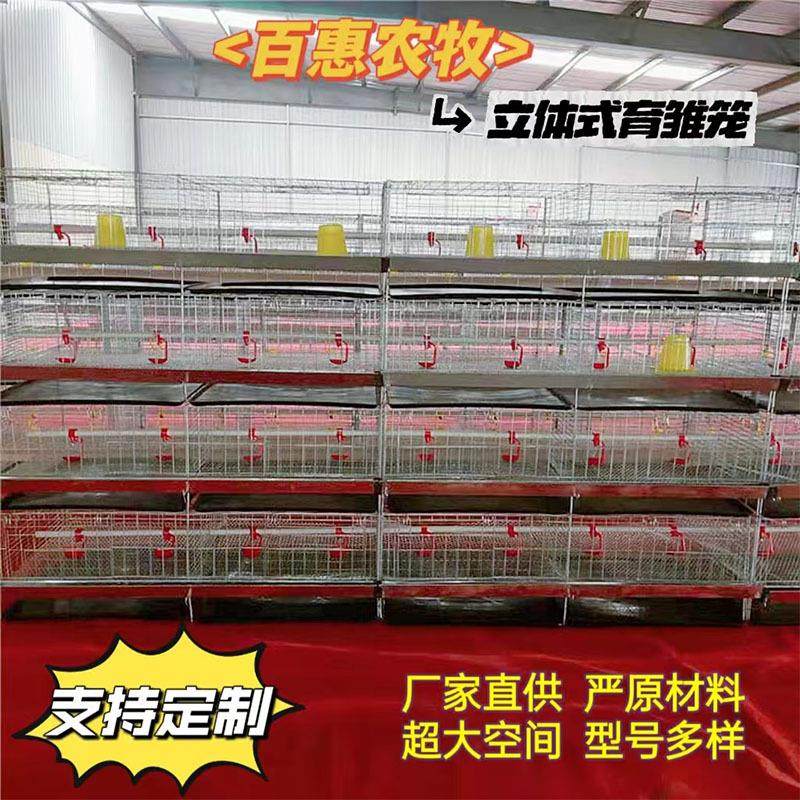 育雏鸡笼四层立体式小鸡笼高密度镀锌防锈防跑鸡养殖设备鸡舍,畜牧/养殖物资,畜牧/养殖器械,淘宝优惠券,粉丝福利购,淘宝优惠卷