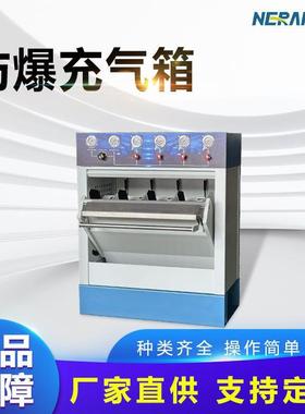 便携压力表显示防爆充气箱NRC4压缩防爆充气箱NRC4