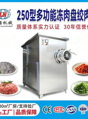 商用不锈钢250绞肉机冻盘绞肉机大功率动力强劲肉制品加工设备