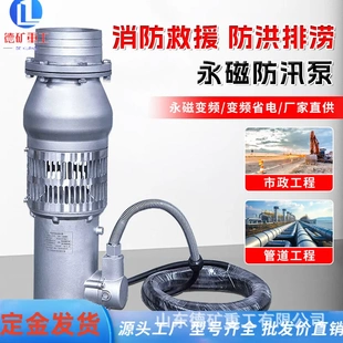 防洪抢险永磁泵大流量高扬程大流量不锈钢防洪排涝泵潜水泵