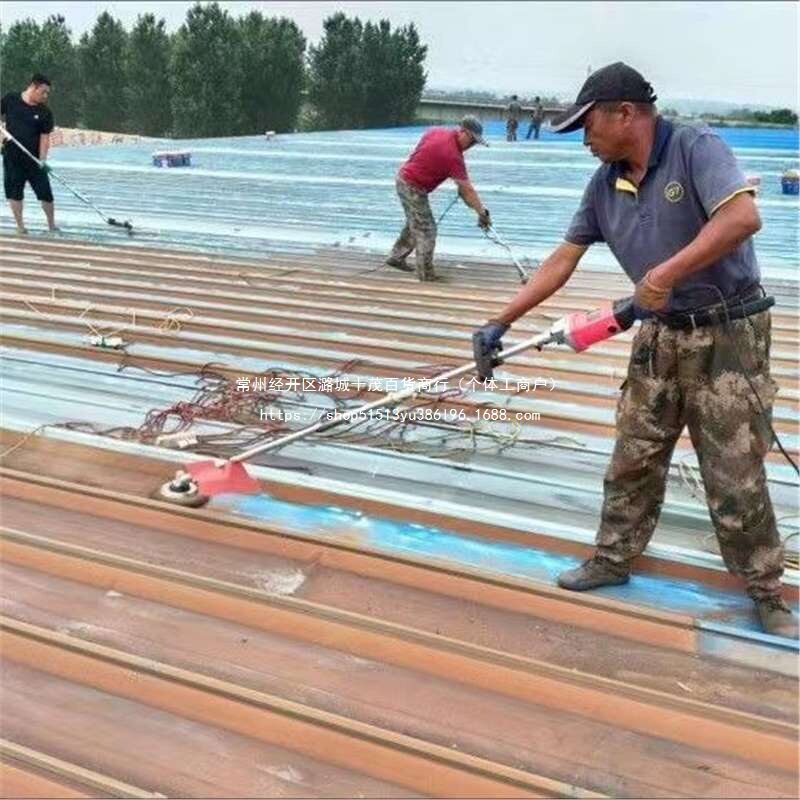 电动除锈机钢丝轮磨盘磨光机彩钢瓦翻新混凝土抛光水泥地面打磨机