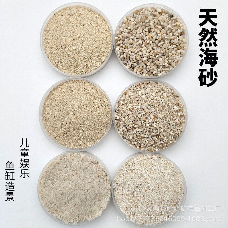 供应铸造覆膜砂用海砂喷砂机用幼儿园沙池填充海砂