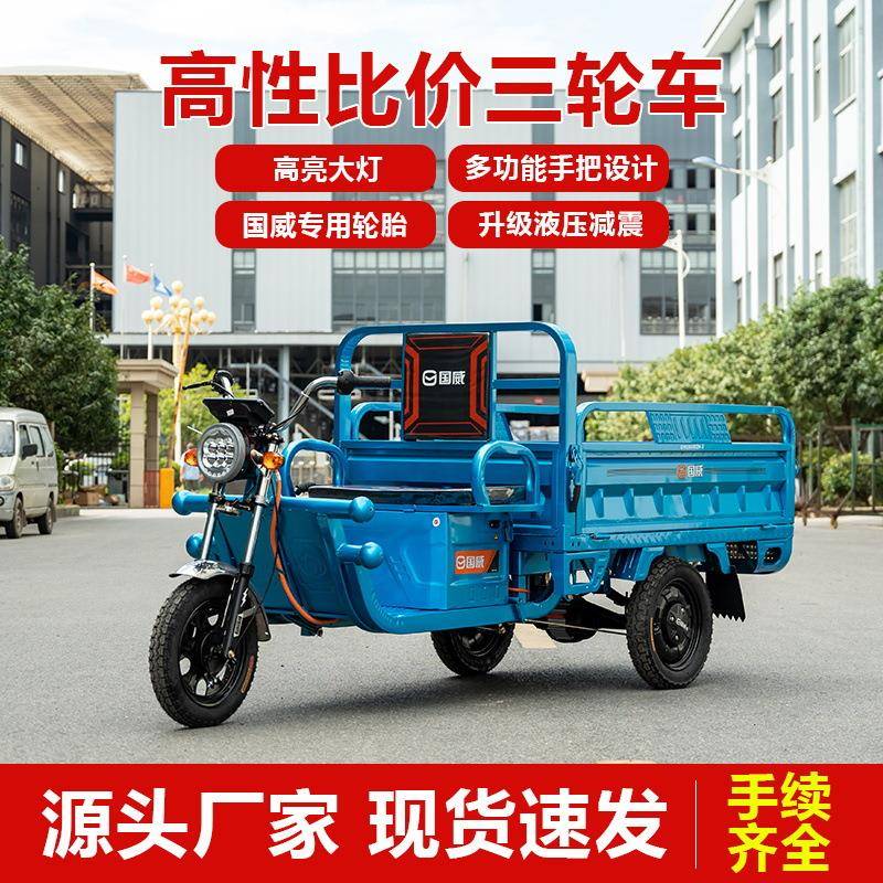 国威电动三轮车拉货货车载重王成人家用快递车农用三蹦子