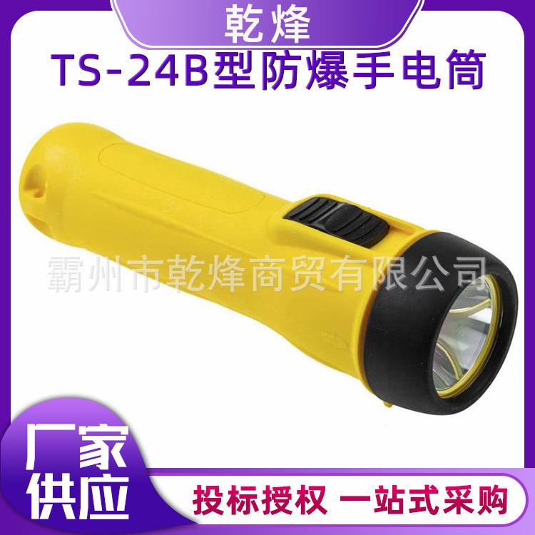 wolf狼牌防爆手电筒TS-24B型ATEXwolf防爆手电筒轻便手电筒
