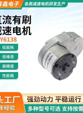 直流减速电机大扭矩YGY6138机器人保险柜配件微型低噪音有刷马达