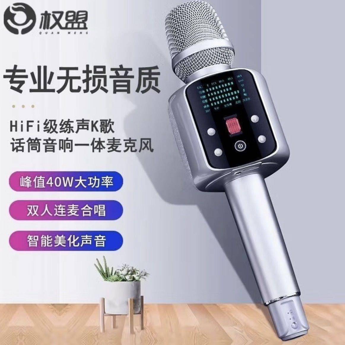 权盟R2Pro炫声麦克风K歌直播话筒音响自带声卡一体家庭ktv套装