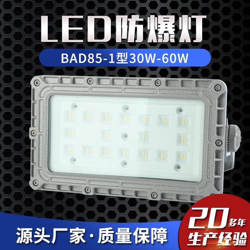 LED防爆灯BAD85-1型30W-60W防爆路灯防爆泛光灯防爆投光灯