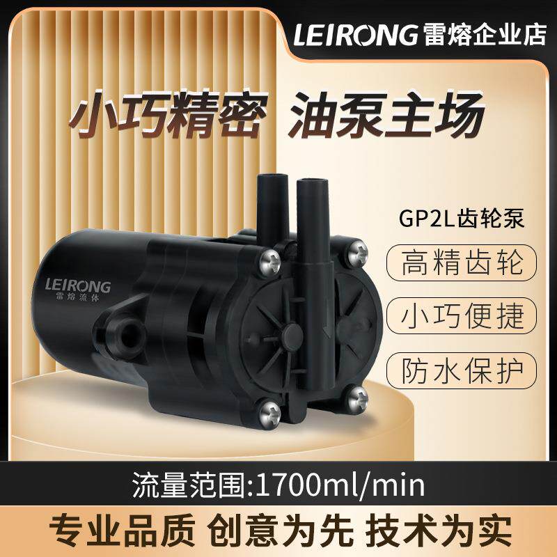 雷熔微小型GP2L有刷防水电机齿轮泵工业灌装机抽油12V24伏微型