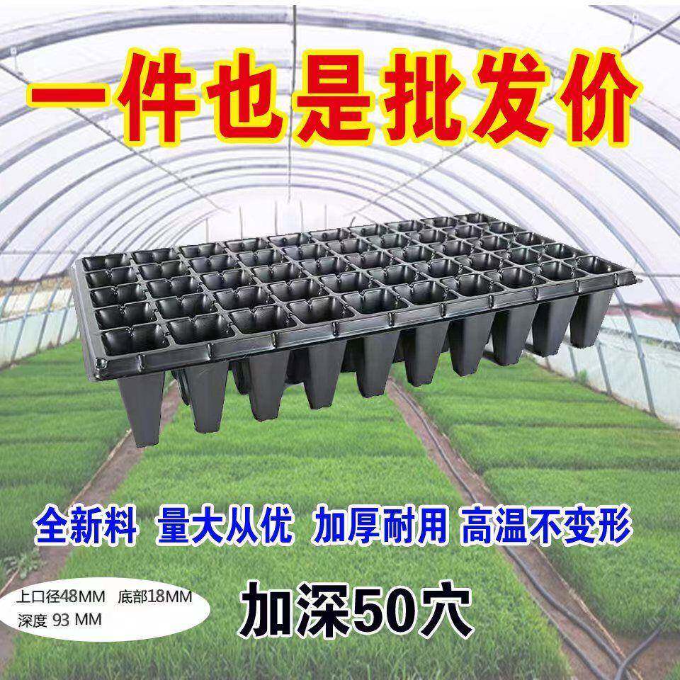 高脚50孔育苗盘托盘林木月季扦插育苗加深加厚韧性强抗老化