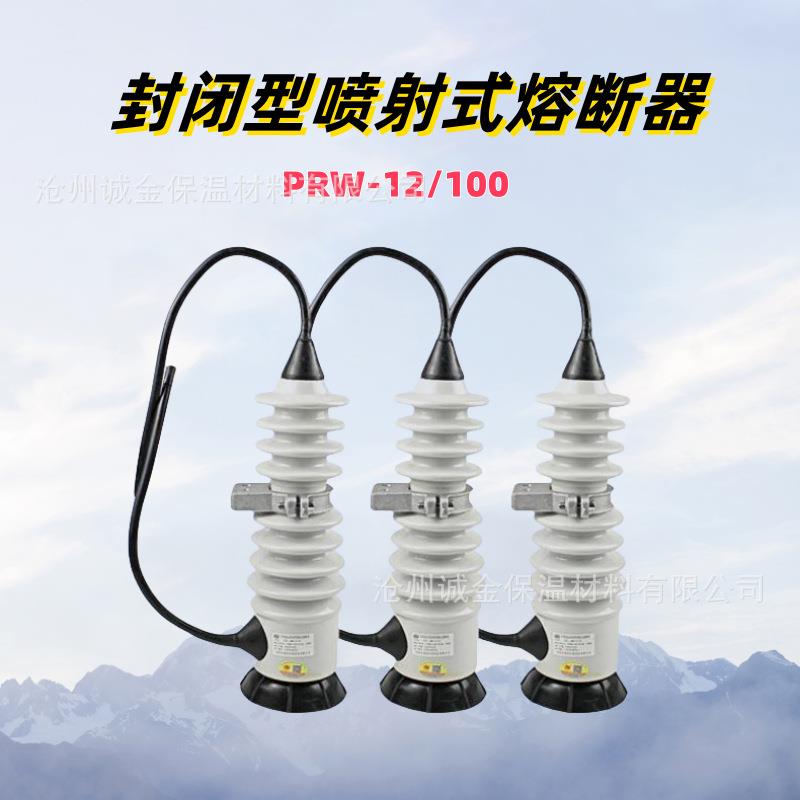 10KV户外高压封闭型喷射式熔断器PRW-12/50A100A令克开关保险