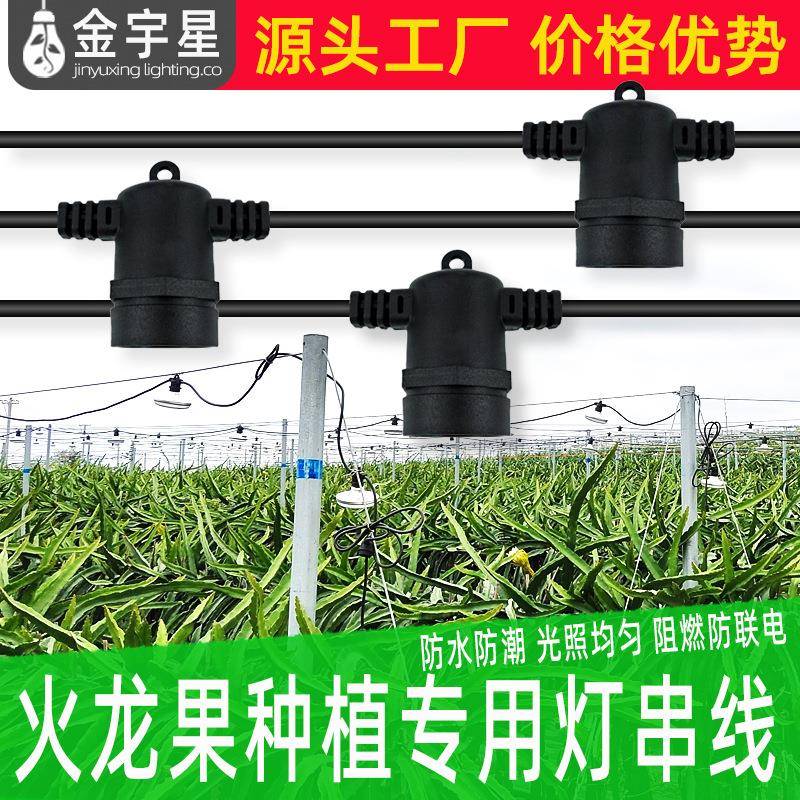 火龙果菊花百香果葡萄防水一体灯线养殖室外植物补光灯农业大棚