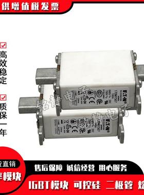 170M1558170M1559170M1560170M1561170M1562巴斯曼熔断器现货