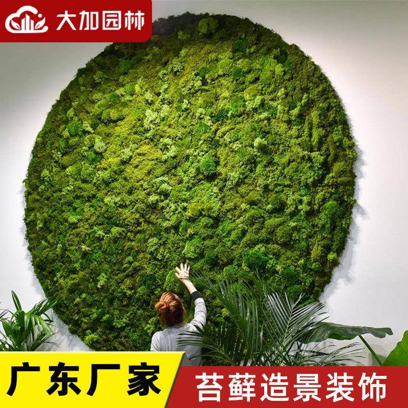 青苔苔藓植物造景永生苔藓植物墙仿真绿植墙装饰材料盒装苔藓