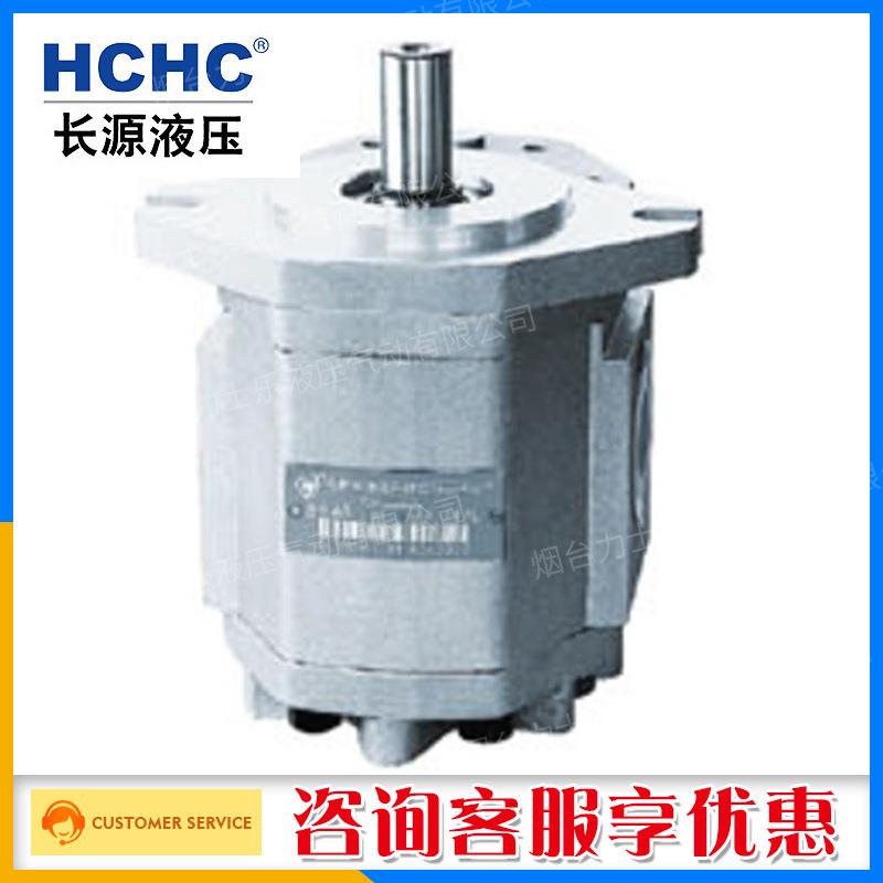 HCHC合肥长源CBF-E5齿轮泵油泵CBF-E510高强度一件也
