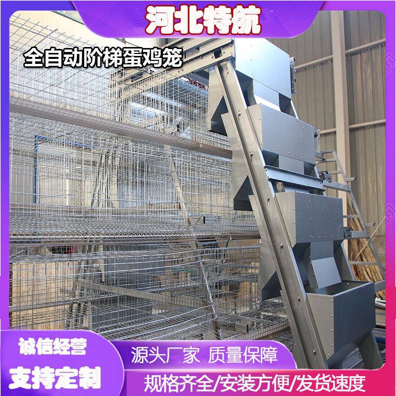 阶梯蛋鸡笼全自动新款养鸡养殖设备加背负式喂料机多层阶梯热镀锌