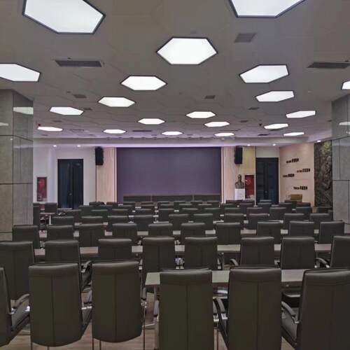 深圳猛帝森502A音箱会议系统专业会议室音响多功能厅音箱