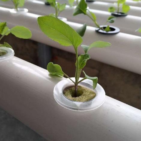壁挂式水培蔬菜种植架PVC管道种菜机幼儿园装饰花架批鲁威塑业