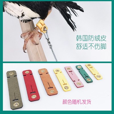 鹦鹉鸟用皮套脚环护脚脚套喜鹊乌鸦八哥鹩哥鹰鸽子脚套脚链