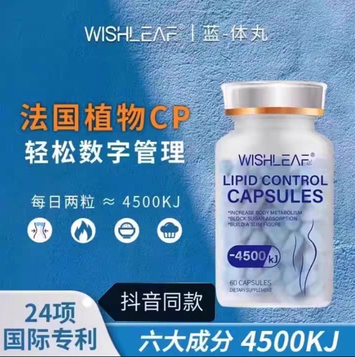 WishLeaf-4500kj蓝体丸纤体管理