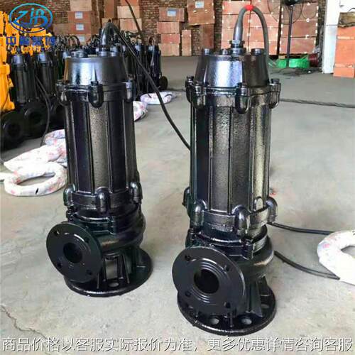 10060-13-4全保型潜水排污泵漏水漏电过载保护潜污泵增压泵