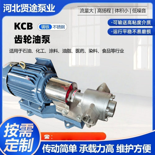 KCB不锈钢齿轮油泵耐腐蚀液压油泵大流量抽油泵KCB齿轮泵