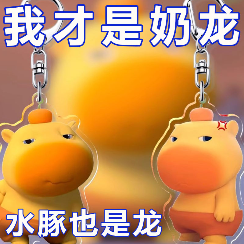 小水豚可爱表情包钥匙扣亚克力卡通可爱搞怪书包挂件钥匙链钥匙圈