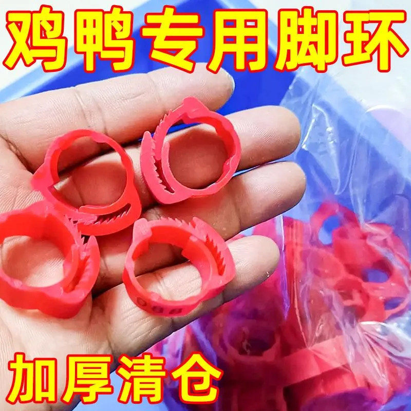 家禽自动扣防走失刻字脚环