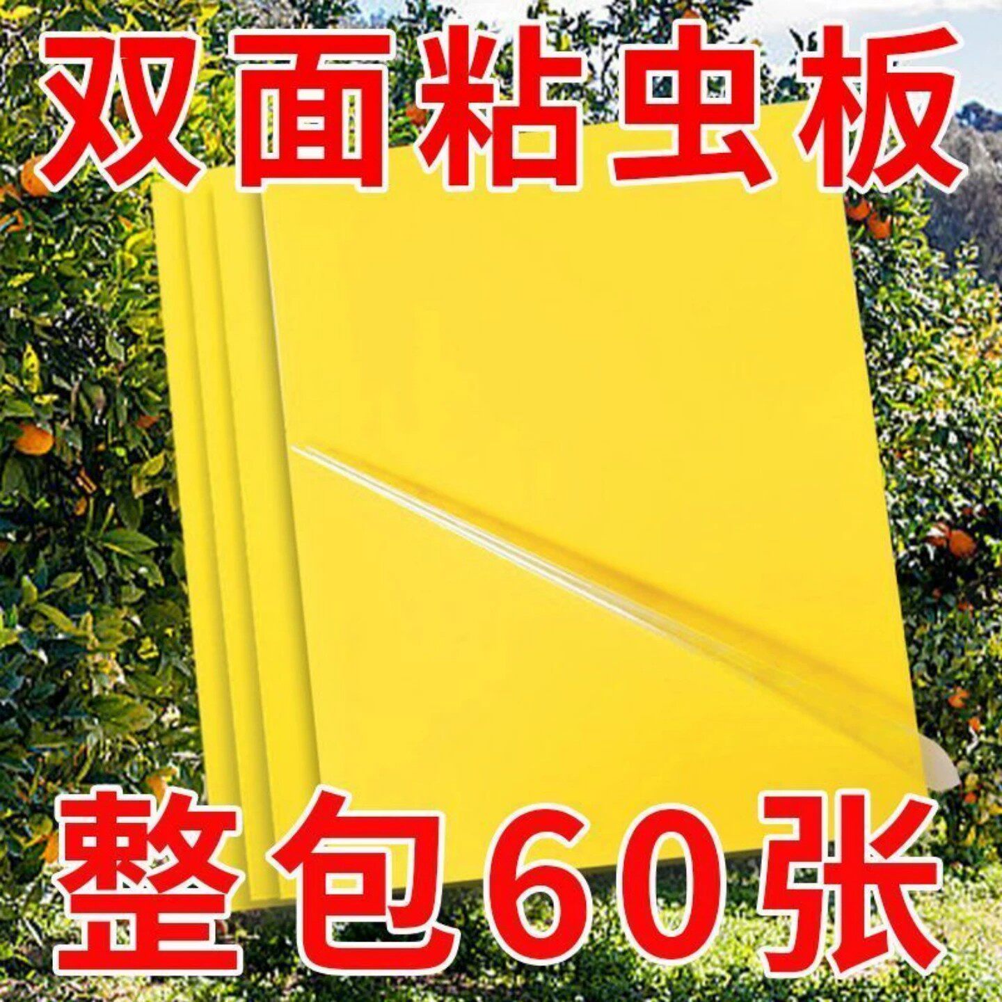 粘虫板黄板双面飞虫纸贴黄蓝蓟马小黑飞沾果蝇诱捕器粘板蚊子强力