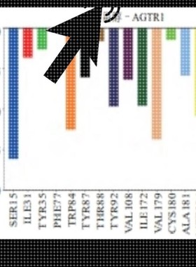 分子动力学模拟,提供完整服务,需要的快来联系我!