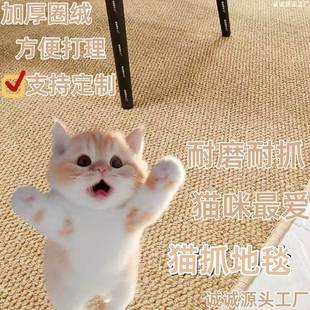 纯色仿剑麻家用防滑地毯客厅卧室飘窗床边满铺榻榻米猫抓地垫 日式