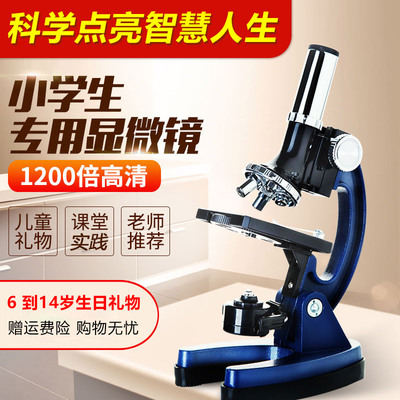 生日6礼物7小学生10送男孩12岁8高端实用女孩子十男童9儿童14学习