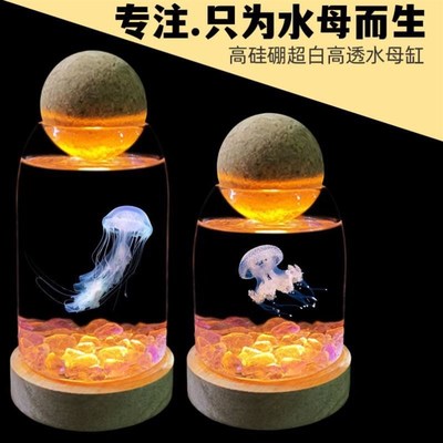 养水母专用缸水族宿舍懒人学生桌面小动物宠物迷你斗鱼水母杯生态