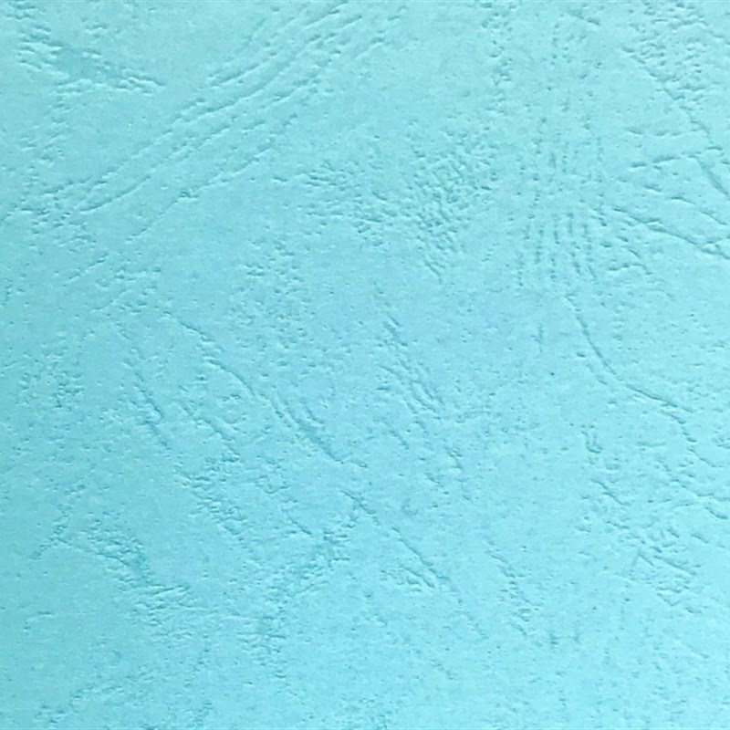 A3 ++230克皮纹纸 封面纸 装订封面纸装订皮纹云彩纸 凹凸皮纹