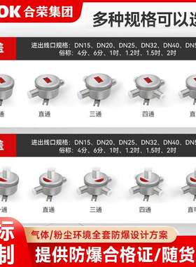防爆接线盒304不锈钢IIIC/分线盒平盖/DN15一通或四通/AH4分圆形