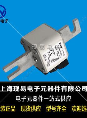 170M4466170M4467170M4468170M4469巴斯曼快速熔断器原装现货