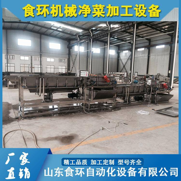 银耳木耳高压喷淋清洗机供应净菜设备香菇气泡清洗机