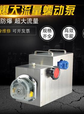制剂灌装防爆蠕动泵FB600型工业大流量蠕动泵制药恒流泵