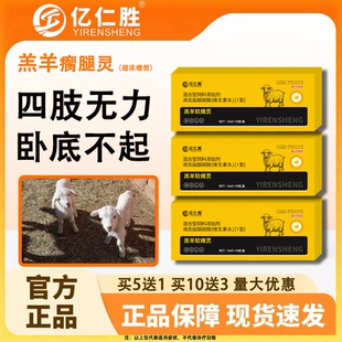 羔羊软瘫灵猪牛羊幼崽瘫软无力卧底不起四肢无力消化不良
